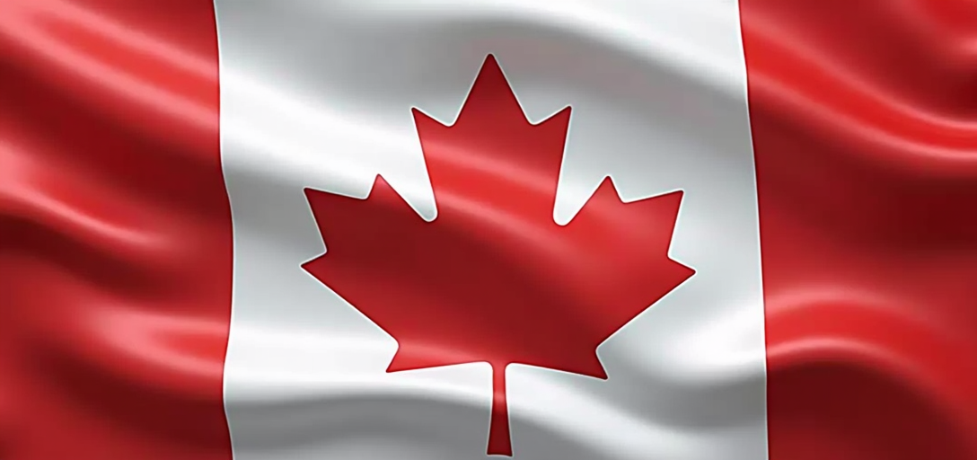 Exploring the Top 5 Canadian Blue Chip Stocks Preferred by Retirees